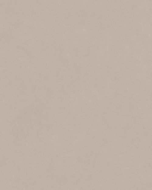 ZIRCON TAUPE