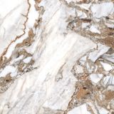 CM-63290741709892270