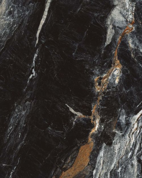 BELVEDERE BLACK