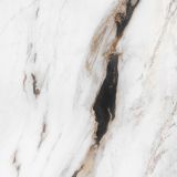 CM-92813161704799806
