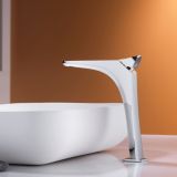 Dolphin Design Single-Handle Faucet L (1)